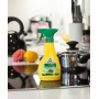 Frosch Eko Lemon Cleaner for Induction and Glass Ceramic Cooktops Spray 300 ml