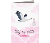 Nekupto Baby wish card Stork with baby pink 115 x 170 mm