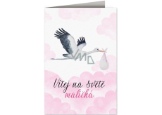 Nekupto Baby wish card Stork with baby pink 115 x 170 mm