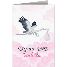 Nekupto Baby wish card Stork with baby pink 115 x 170 mm