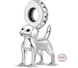 Charm Sterling silver 925 Labrador standing, bracelet pendant, animal