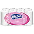 Big Soft Plus 2-ply toilet paper, 16 rolls, 17.6 m roll