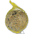 Bird buffet Tallow ball diameter 6 cm 1 piece