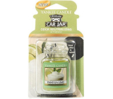 Yankee Candle Vanilla Lime - Vanilla with Lime Gel Scented Car Tag 30 g