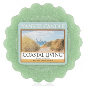 Yankee Candle Coastal Living - Aromatic lamp wax aroma lamp 22 g