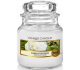 Yankee Candle Camellia Blossom Classic small glass 104 g