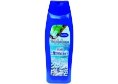 Karima Mrtvé moře tělový a vlasový šampon 280 ml
