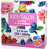 Agro Kristalon Rhododendron water-soluble universal fertilizer 0.5 kg for 250 l of watering