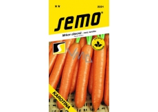 Semo Common Carrot Mid-Season Carrot Karotina 2.5 g