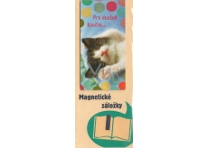 Albi Magnetic bookmark For today I finish 9 x 4.5 cm