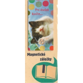 Albi Magnetic bookmark For today I finish 9 x 4.5 cm