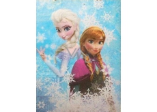 Nekupto Gift kraft bag 46 x 36 x 10.5 cm Disney Frozen