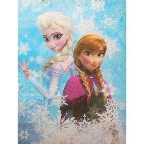 Nekupto Gift kraft bag 46 x 36 x 10.5 cm Disney Frozen
