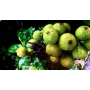 Millefiori Milano Natural Green Fig & Iris - Green Fig and Iris Aroma oil 15 ml