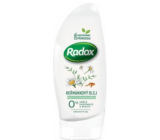 Radox Sensitive Chamomile oil shower gel for sensitive skin 250 ml