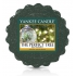 Yankee Candle The Perfect Tree - Perfect tree fragrant wax for aroma lamp 22 g