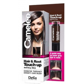 Delia Cosmetics Cameleo Hair & Root Concealer covers roots and gray hair Brown 4.6 g
