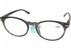 Berkeley Reading glasses +2.0 plastic violet-brown, round lenses 1 piece MC2171
