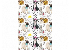 Ditipo Gift wrapping paper 70 x 100 cm White with dogs 2 sheets
