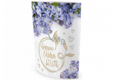 Nekupto Shining lantern Home, love, happiness 13.7 x 20 x 5 cm