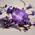 Dolce & Gabbana Dolce Violet Eau de Toilette for women 75 ml
