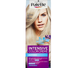 Schwarzkopf Palette Intensive Color Creme Hair Color Tint C10 Icy Silver Fawn