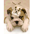 Nekupto Gift paper bag 23 x 18 x 10 cm Dog puppy 1 piece 811 01 BM