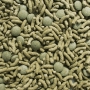 Sera Raffy Vital granulated staple food for terrestrial turtles and all other herbivorous reptiles 250 ml