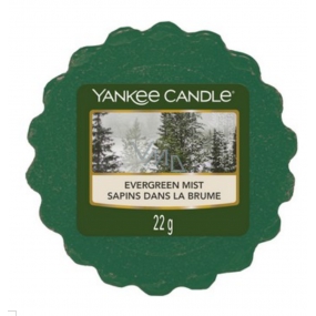 Yankee Candle Evergreen Mist - Forest mist fragrant wax for aroma lamps 22 g