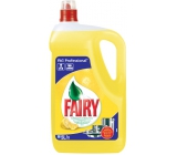 Fairy Expert Professional 5 l dishwashing detergent