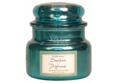 Village Candle Sea Fresh - Seashore Driftwood scented candle in glass 2 wicks 11oz burning time 55 hours 262 g