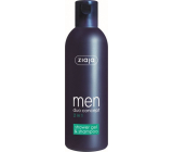 Ziaja Men shower gel and hair shampoo 2in1 300 ml