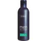 Ziaja Men shower gel and hair shampoo 2-in-1 300 ml