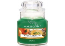 Yankee Candle Honey Alfresco Afternoon - Alfresco afternoon scented candle small glass 104 g
