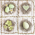Nekupto Paper napkins 3 ply 33 x 33 cm 20 pieces Easter Green eggs in the nest