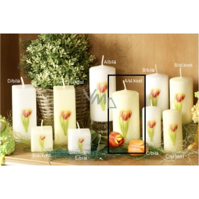 Lima Flower Tulip scented ivory candle with decal tulip cylinder 60 x 120 mm 1 piece