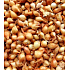 Stuttgart, onion planter 25 kg
