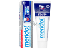 Meridol Parodont Expert toothpaste with fluoride 75 ml