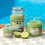 Yankee Candle Vanilla Lime - Vanilla with lime scented candle Classic medium glass 411 g