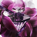 Lancome La Nuit Trésor Le Parfum perfume for 50 ml