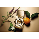 Michael Kors Pour Femme Eau de Parfum for Women 30 ml
