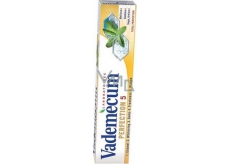Vademecum Perfection 5 se šalvějovým výtažkem zubní pasta 75 ml