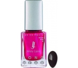 Jenny Lane Long Wear nail polish with long-lasting effect Black matte 14 ml