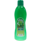 Elegance Forest bath foam 1 l