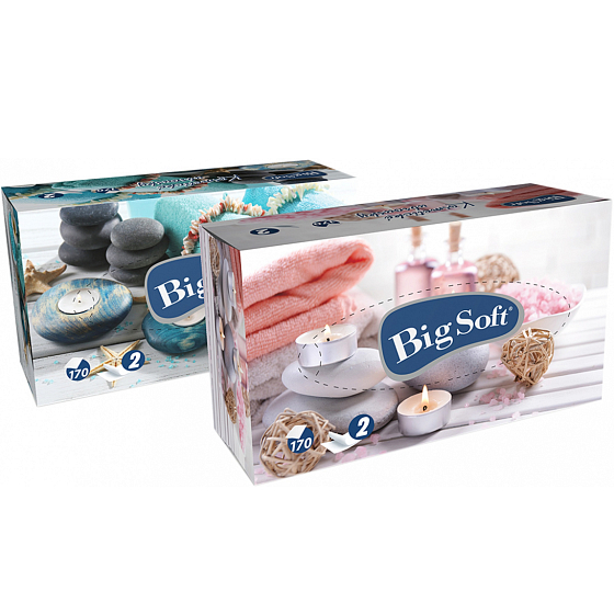 Big Soft Deluxe cosmetic wipes 2-layer 170 pieces