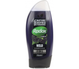 Radox Men Feel Wild Blackberry & Ginger 2in1 shower gel and shampoo for men 250 ml