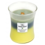 WoodWick Trilogy Woodland Shade - Forest shadow scented candle with wooden wick and lid glass medium 275 g