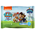 Suavipiel Paw Patrol wet wipes for children 20 pieces
