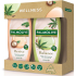 Palmolive Wellness Revive shower gel 500 ml + Wellness Balance shower gel 500 ml, cosmetic set for women