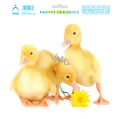 Arch Easter sticker, window film without adhesive Ducklings with dandelion 20 x 23 cm